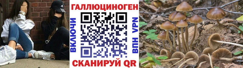 Псилоцибиновые грибы GOLDEN TEACHER  магазин продажи наркотиков  Барабинск 