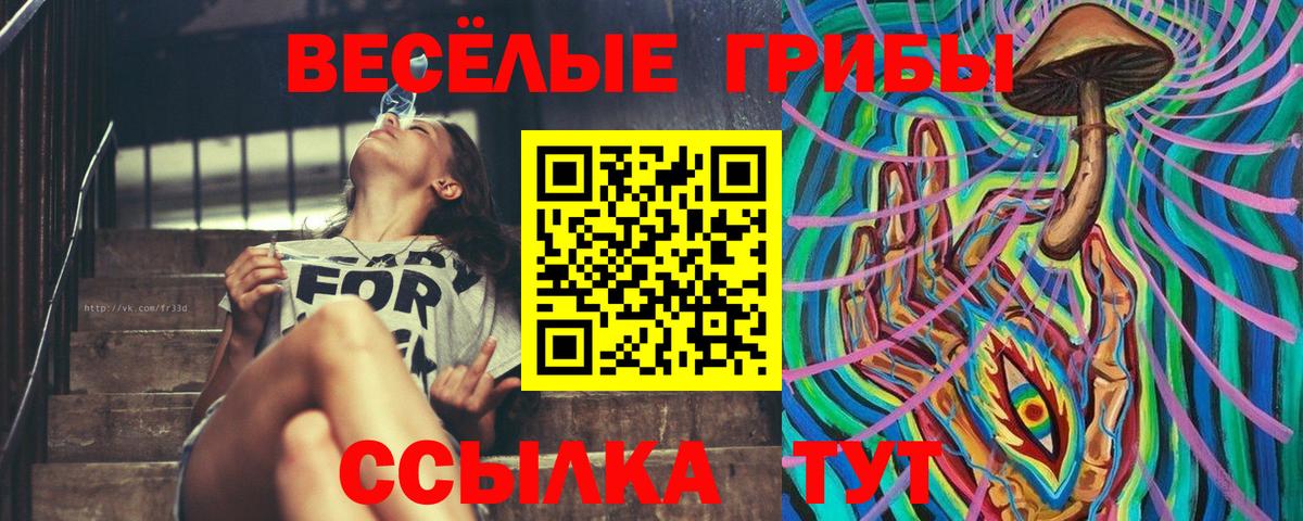 Псилоцибиновые грибы ЛСД Барабинск