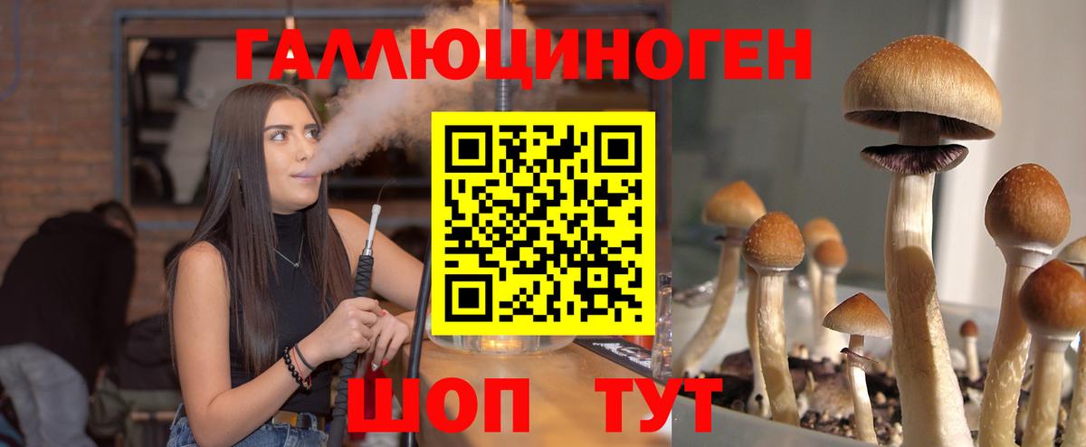 Псилоцибиновые грибы MAGIC MUSHROOMS  Галлюциногенные грибы мицелий  Барабинск  Вход с VPN 